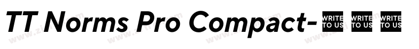 TT Norms Pro Compact字体转换
